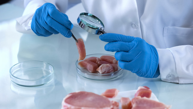 carne en laboratorio
